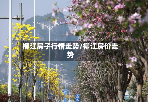 柳江房子行情走势/柳江房价走势