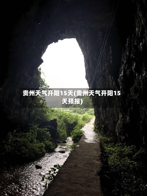 贵州天气开阳15天(贵州天气开阳15天预报)