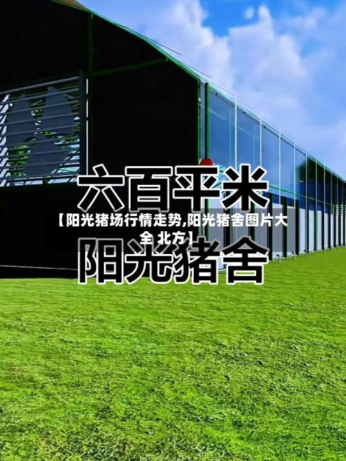 【阳光猪场行情走势,阳光猪舍图片大全 北方】