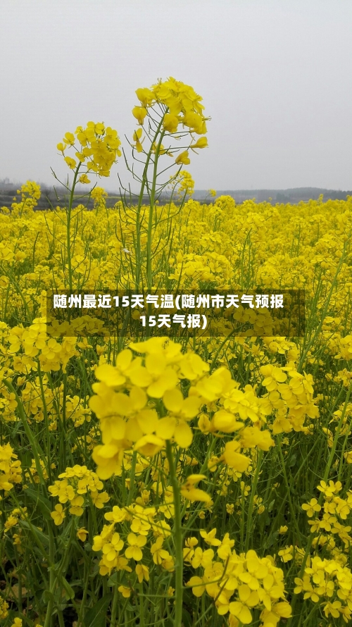 随州最近15天气温(随州市天气预报15天气报)