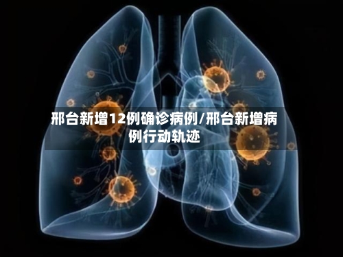 邢台新增12例确诊病例/邢台新增病例行动轨迹