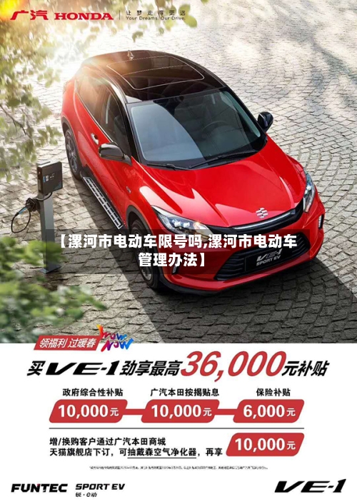 【漯河市电动车限号吗,漯河市电动车管理办法】