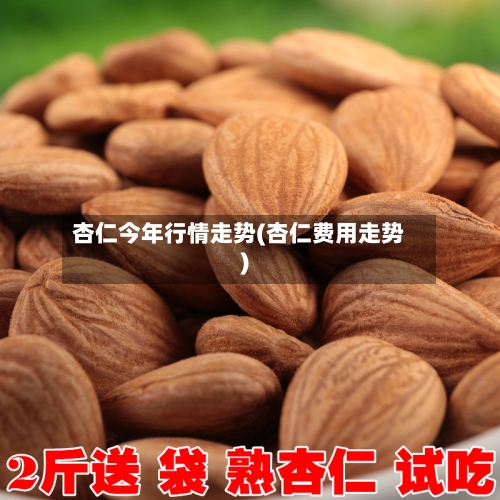 杏仁今年行情走势(杏仁费用走势)