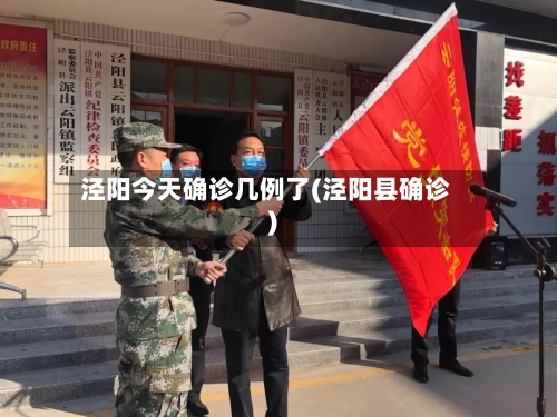 泾阳今天确诊几例了(泾阳县确诊)