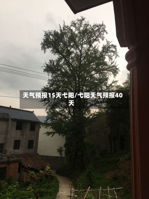 天气预报15天弋阳/弋阳天气预报40天