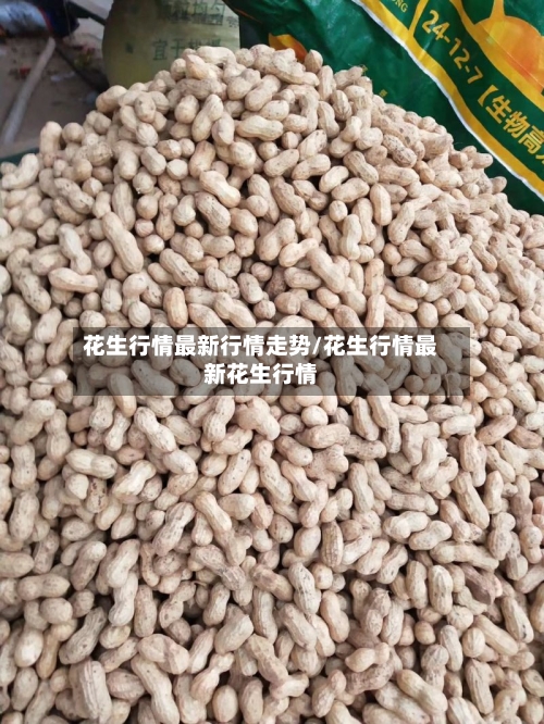 花生行情最新行情走势/花生行情最新花生行情