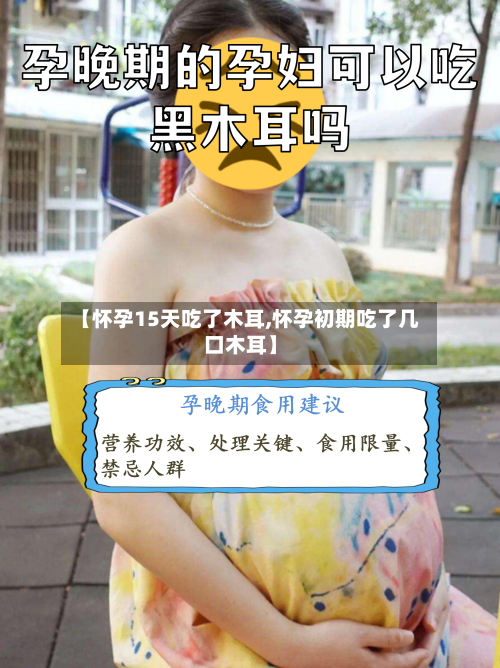 【怀孕15天吃了木耳,怀孕初期吃了几口木耳】