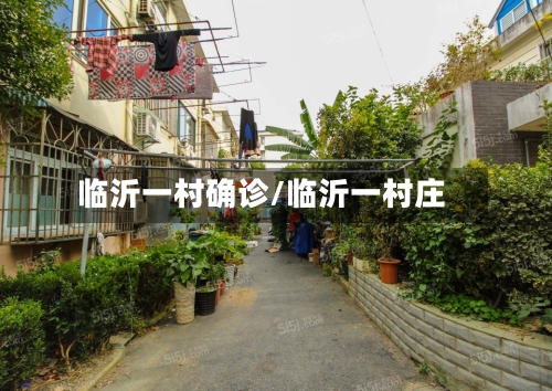 临沂一村确诊/临沂一村庄