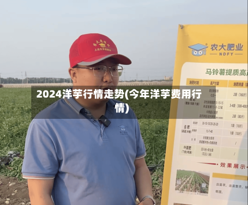 2024洋芋行情走势(今年洋芋费用行情)