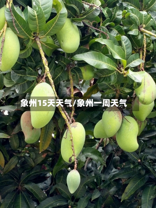 象州15天天气/象州一周天气