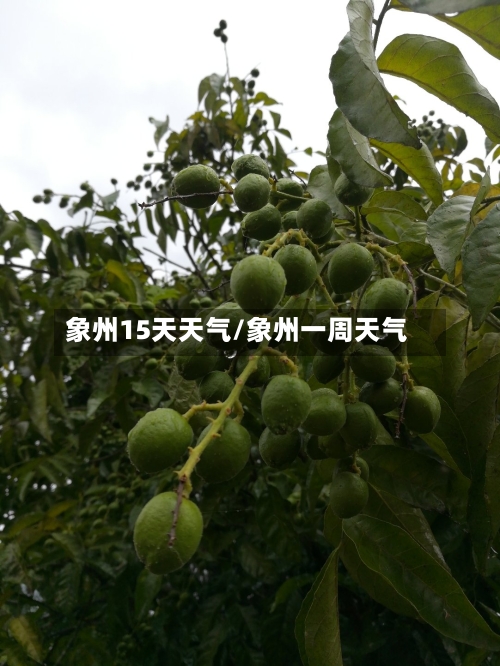 象州15天天气/象州一周天气