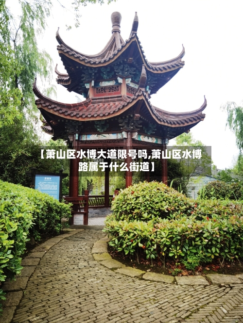 【萧山区水博大道限号吗,萧山区水博路属于什么街道】
