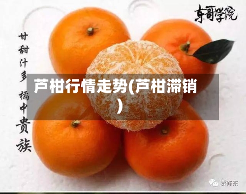 芦柑行情走势(芦柑滞销)