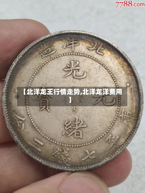 【北洋龙王行情走势,北洋龙洋费用】