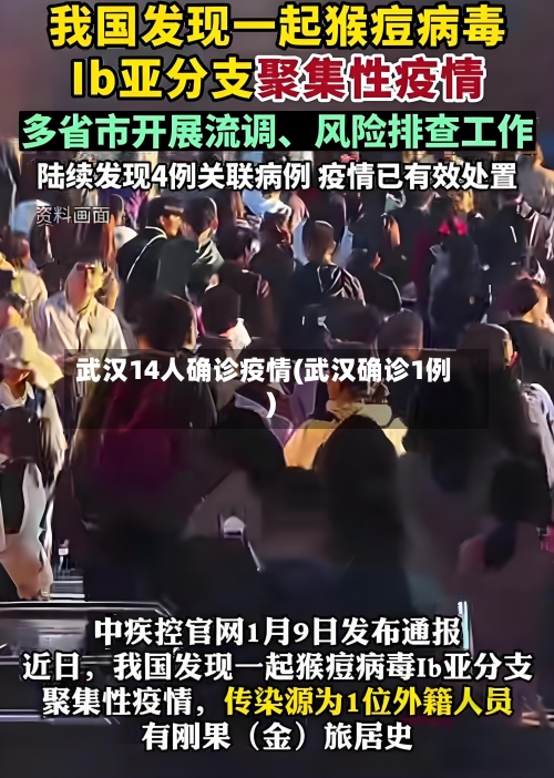 武汉14人确诊疫情(武汉确诊1例)