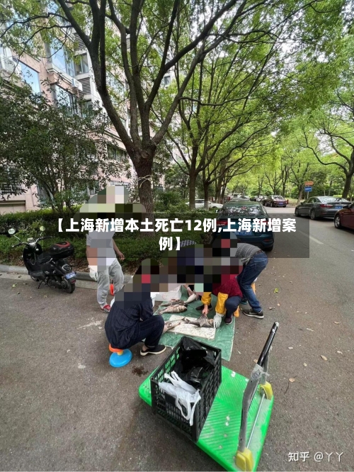 【上海新增本土死亡12例,上海新增案例】