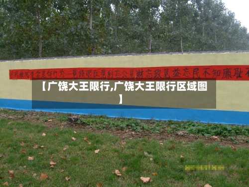 【广饶大王限行,广饶大王限行区域图】