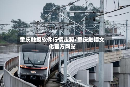 重庆触摸软件行情走势/重庆触摸文化官方网站