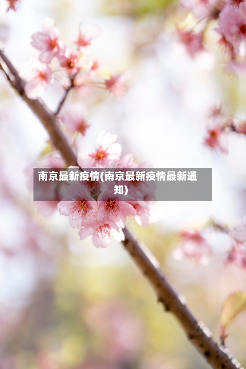 南京最新疫情(南京最新疫情最新通知)