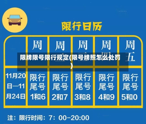 限牌限号限行规定(限号牌照怎么处罚)
