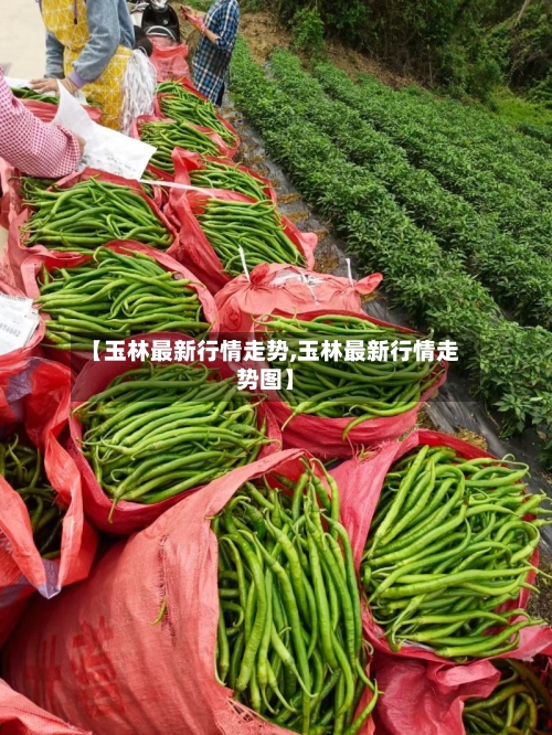 【玉林最新行情走势,玉林最新行情走势图】