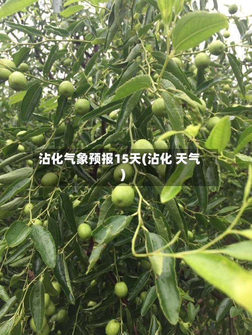 沾化气象预报15天(沾化 天气)