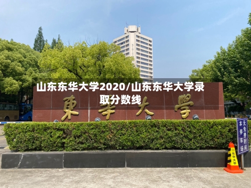 山东东华大学2020/山东东华大学录取分数线