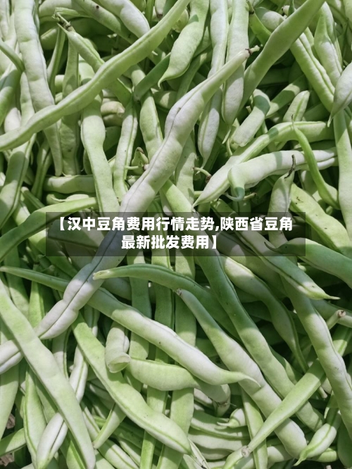【汉中豆角费用行情走势,陕西省豆角最新批发费用】