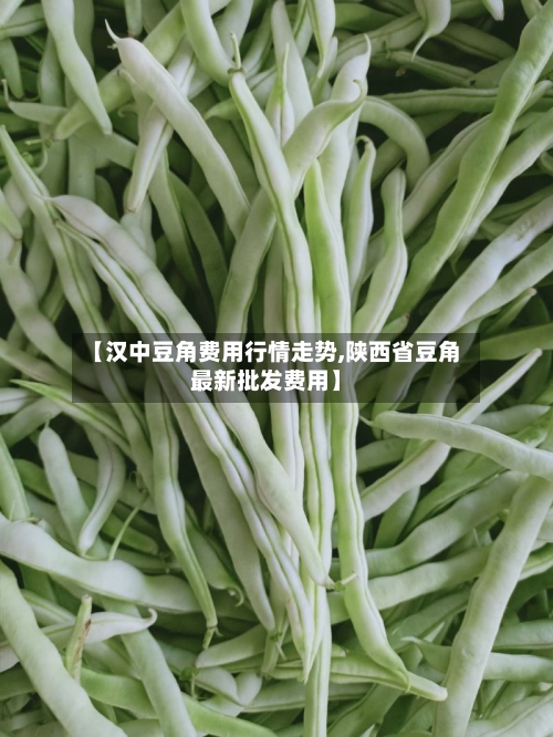 【汉中豆角费用行情走势,陕西省豆角最新批发费用】