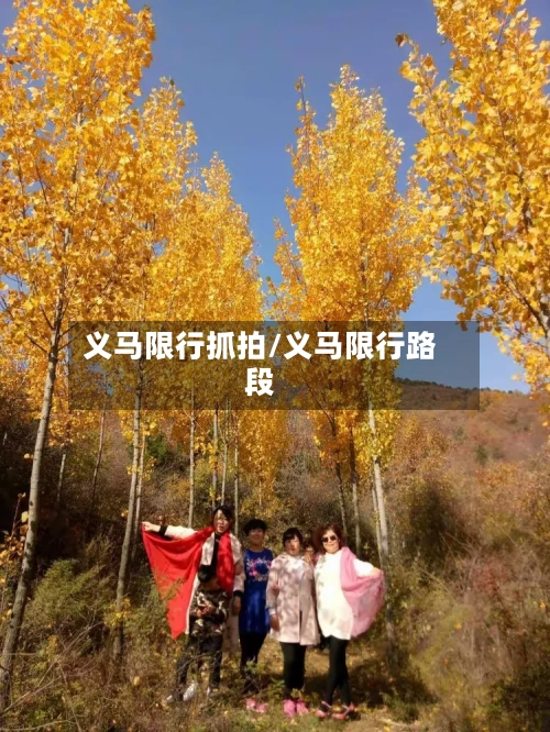 义马限行抓拍/义马限行路段