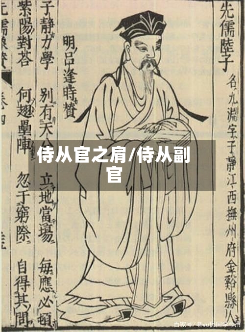 侍从官之肩/侍从副官