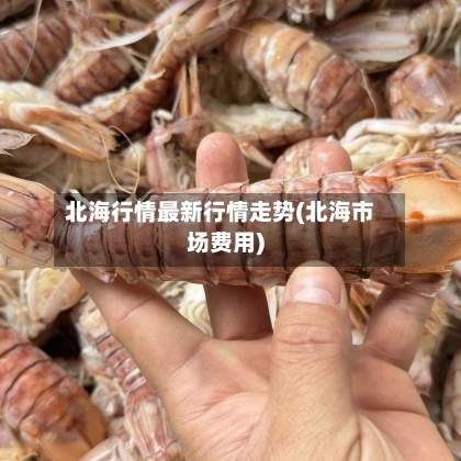 北海行情最新行情走势(北海市场费用)