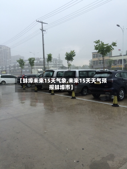 【蚌埠未来15天气象,未来15天天气预报蚌埠市】