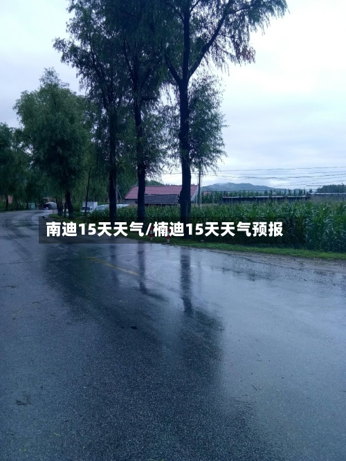 南迪15天天气/楠迪15天天气预报