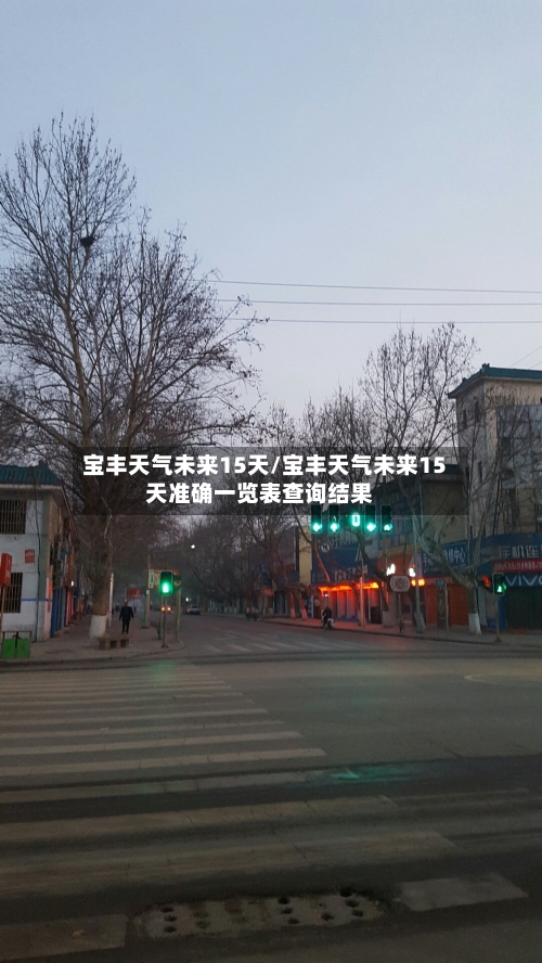 宝丰天气未来15天/宝丰天气未来15天准确一览表查询结果