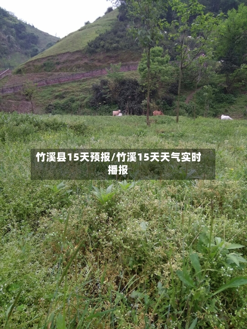 竹溪县15天预报/竹溪15天天气实时播报