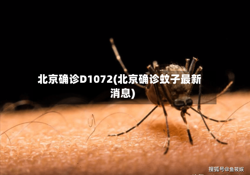 北京确诊D1072(北京确诊蚊子最新消息)