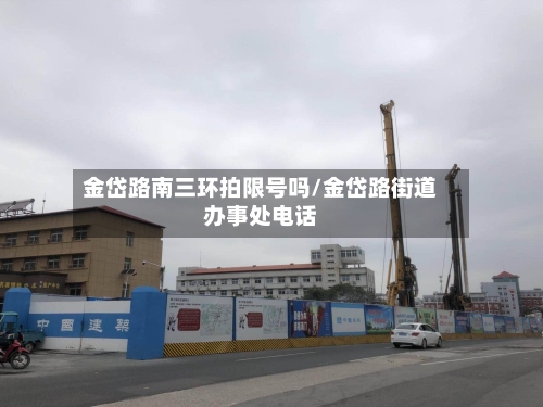 金岱路南三环拍限号吗/金岱路街道办事处电话