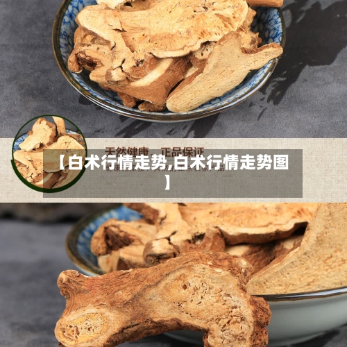【白术行情走势,白术行情走势图】