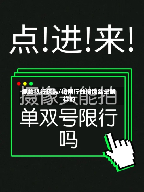 抓拍限行探头/拍限行的摄像头是啥样的