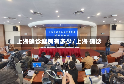 上海确诊案例有多少/上海 确诊