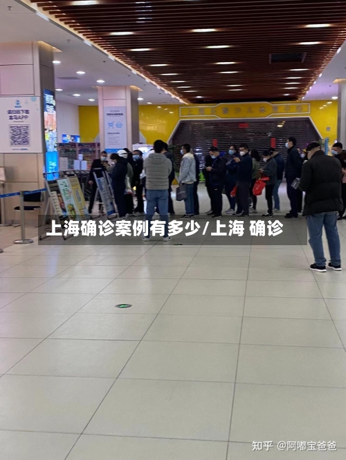 上海确诊案例有多少/上海 确诊