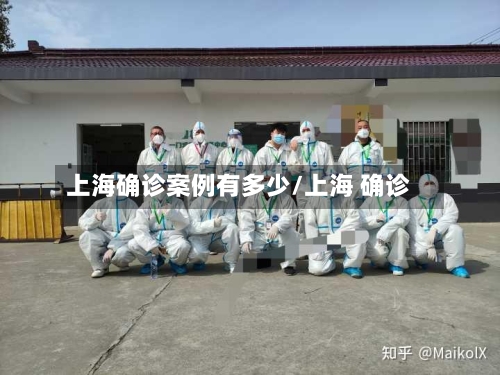 上海确诊案例有多少/上海 确诊
