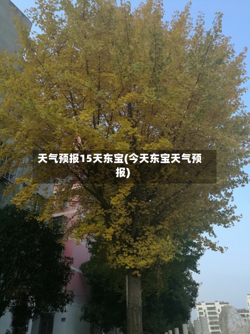 天气预报15天东宝(今天东宝天气预报)