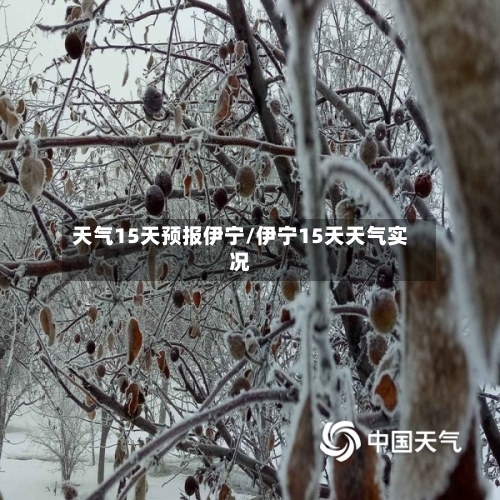 天气15天预报伊宁/伊宁15天天气实况