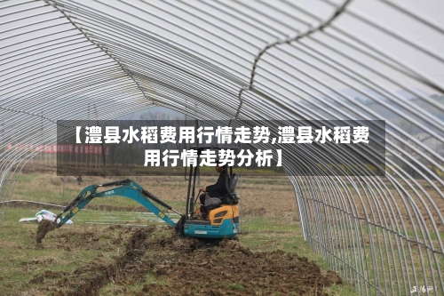 【澧县水稻费用行情走势,澧县水稻费用行情走势分析】