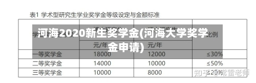 河海2020新生奖学金(河海大学奖学金申请)