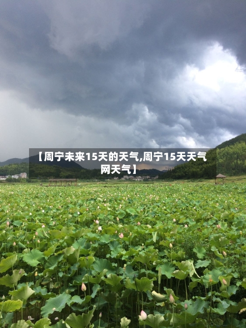 【周宁未来15天的天气,周宁15天天气网天气】