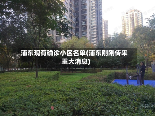 浦东现有确诊小区名单(浦东刚刚传来重大消息)