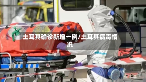 土耳其确诊新增一例/土耳其病毒情况